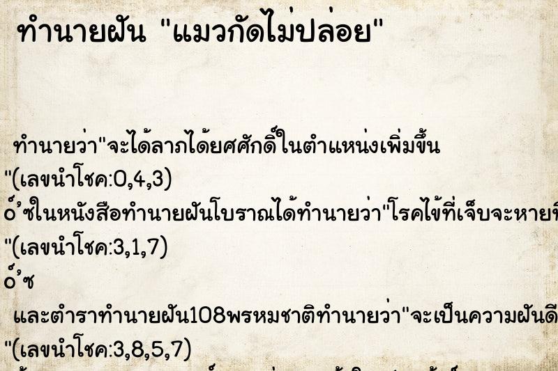 ทำนายฝัน แมวกัดไม่ปล่อย ทำนายฝัน แมวกัดไม่ปล่อย
