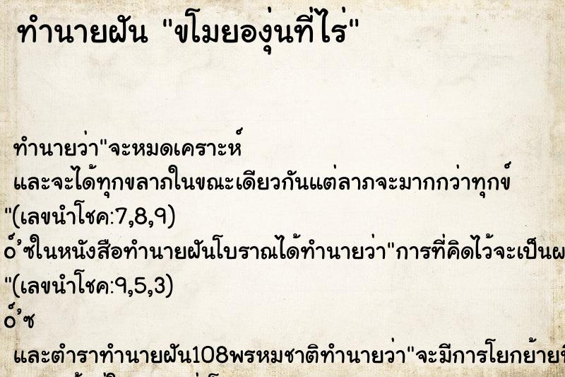 ทำนายฝันทำนายฝันขโมยองุ่นที่ไร่