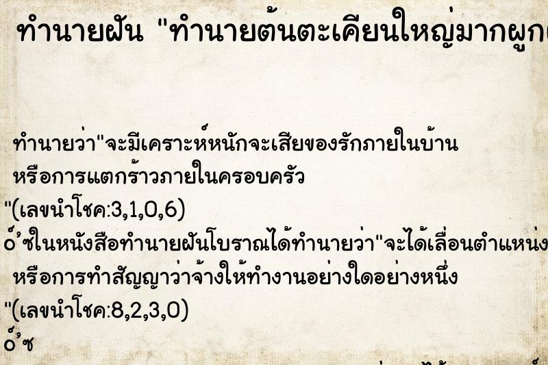 ทำนายฝัน ทํานายต้นตะเคียนใหญ่มากผูกผ้าสามสี