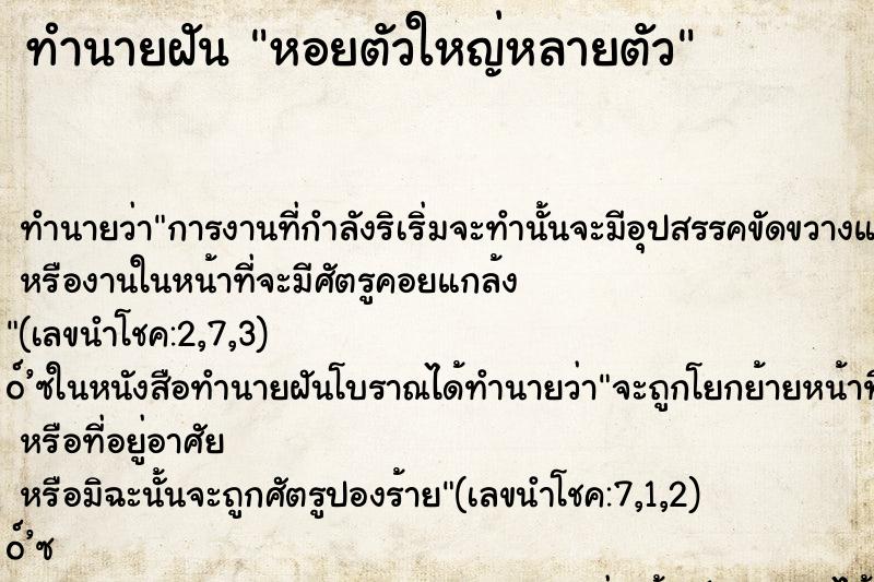 ทำนายฝัน หอยตัวใหญ่หลายตัว