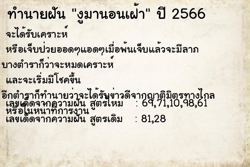 ทำนายฝันงูมานอนเฝ้า ทำนายฝันทำนายฝันงูมานอนเฝ้า