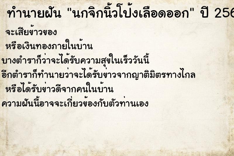 ทำนายฝันนกจิกนิ้วโป้งเลือดออก ทำนายฝันทำนายฝันนกจิกนิ้วโป้งเลือดออก