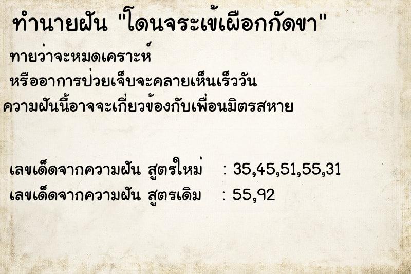 ทำนายฝันโดนจระเข้เผือกกัดขา ทำนายฝันทำนายฝันโดนจระเข้เผือกกัดขา
