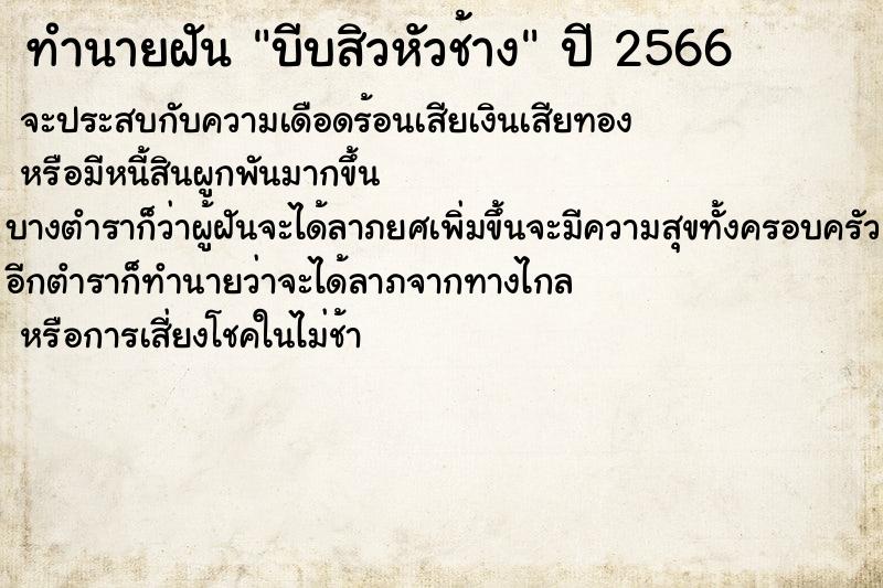 ทำนายฝันบีบสิวหัวช้าง ทำนายฝันทำนายฝันบีบสิวหัวช้าง
