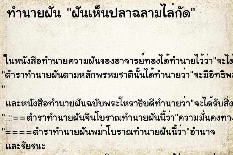 ทำนายฝันฝันเห็นปลาฉลามไล่กัด ทำนายฝันทำนายฝันฝันเห็นปลาฉลามไล่กัด