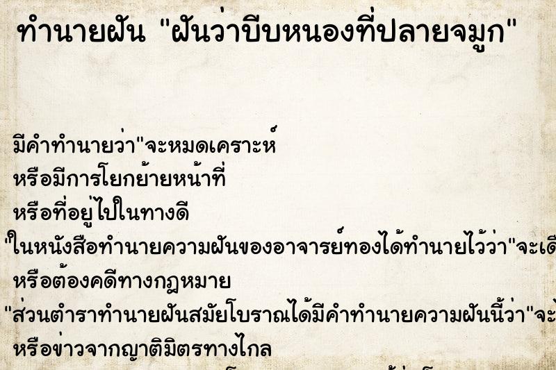 ทำนายฝัน ฝันว่าบีบหนองที่ปลายจมูก ทำนายฝัน ฝันว่าบีบหนองที่ปลายจมูก