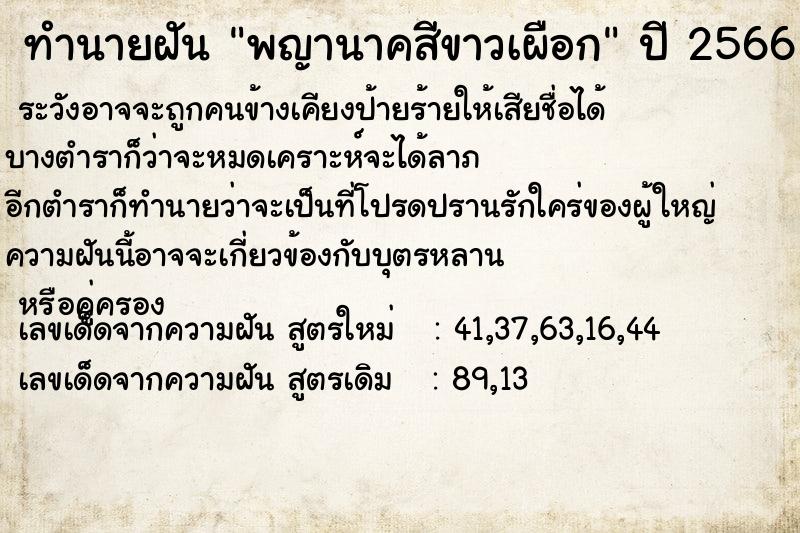 ทำนายฝัน พญานาคสีขาวเผือก ทำนายฝัน พญานาคสีขาวเผือก