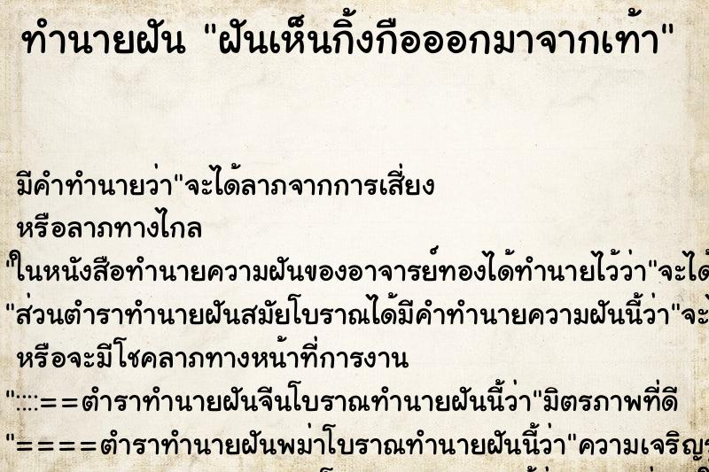 ทำนายฝัน ฝันเห็นกิ้งกือออกมาจากเท้า ทำนายฝัน ฝันเห็นกิ้งกือออกมาจากเท้า