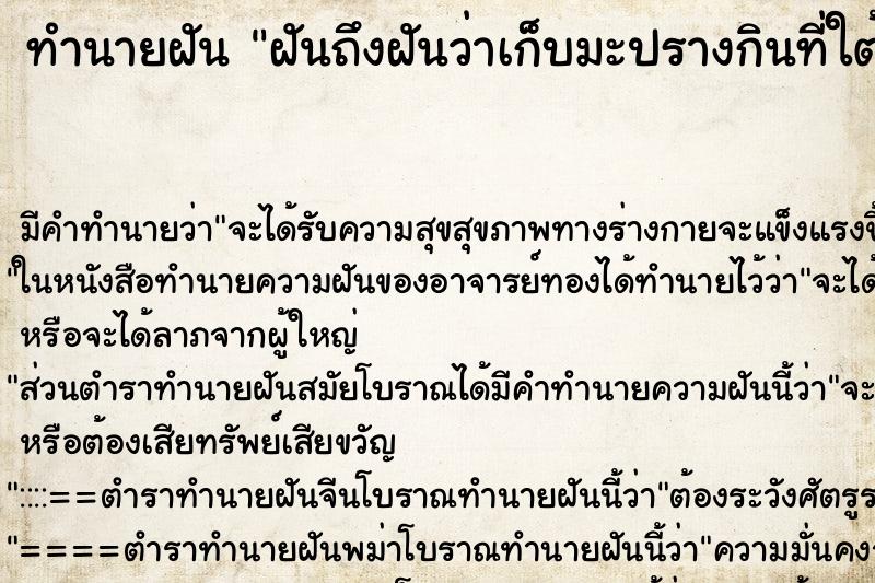 ทำนายฝันฝันถึงฝันว่าเก็บมะปรางกินที่ใต้ต้นมะปราง ทำนายฝันทำนายฝันฝันถึงฝันว่าเก็บมะปรางกินที่ใต้ต้นมะปราง