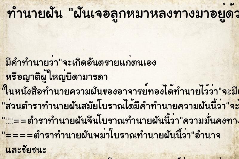ทำนายฝัน ฝันเจอลูกหมาหลงทางมาอยู่ด้วย ทำนายฝัน ฝันเจอลูกหมาหลงทางมาอยู่ด้วย