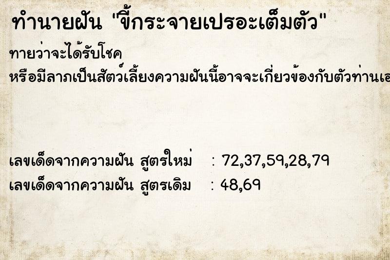 ทำนายฝันขี้กระจายเปรอะเต็มตัว ทำนายฝันทำนายฝันขี้กระจายเปรอะเต็มตัว