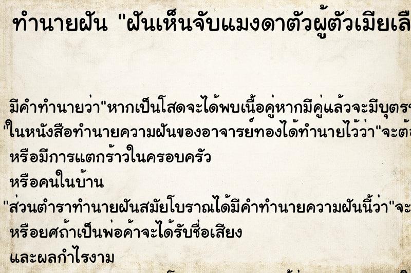 ทำนายฝันฝันเห็นจับแมงดาตัวผู้ตัวเมียเลือกค ทำนายฝันทำนายฝันฝันเห็นจับแมงดาตัวผู้ตัวเมียเลือกค