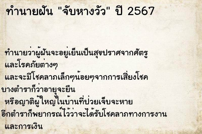 ทำนายฝันจับหางวัว ทำนายฝันทำนายฝันจับหางวัว