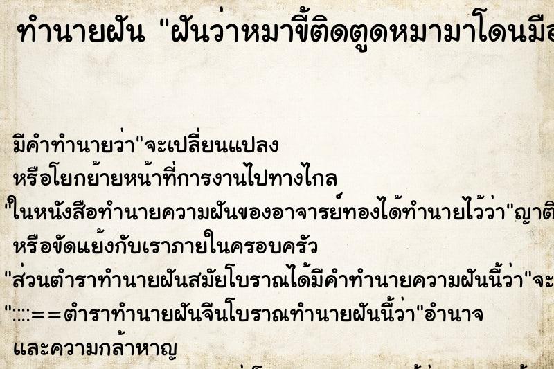 ทำนายฝันฝันว่าหมาขี้ติดตูดหมามาโดนมือเหม้นมาก ทำนายฝันทำนายฝันฝันว่าหมาขี้ติดตูดหมามาโดนมือเหม้นมาก