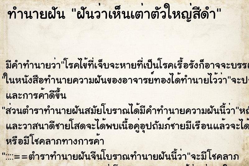 ทำนายฝันทำนายฝันฝันว่าเห็นเต่าตัวใหญ่สีดำ