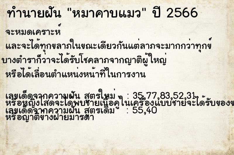 ทำนายฝัน หมาคาบแมว ทำนายฝัน หมาคาบแมว