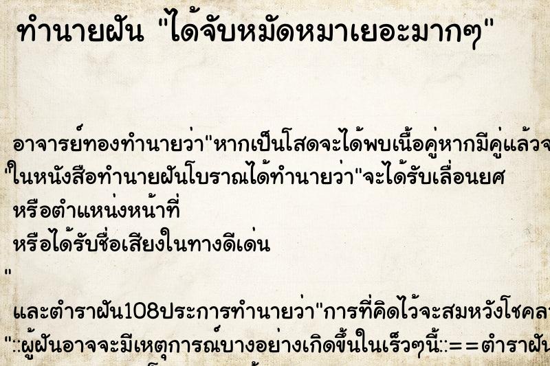 ทำนายฝัน ได้จับหมัดหมาเยอะมากๆ
