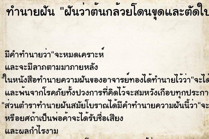 ทำนายฝันทำนายฝันฝันว่าต้นกล้วยโดนขุดและตัดใบ2ต้น