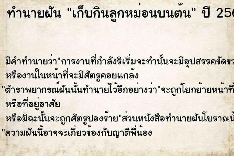 ทำนายฝัน เก็บกินลูกหม่อนบนต้น ทำนายฝัน เก็บกินลูกหม่อนบนต้น