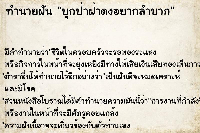 ทำนายฝันบุกป่าฝ่าดงอยากลำบาก ทำนายฝันทำนายฝันบุกป่าฝ่าดงอยากลำบาก