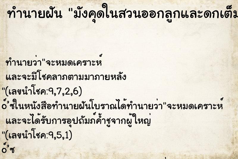 ทำนายฝัน มังคุดในสวนออกลูกและดกเต็มต้นเลย
