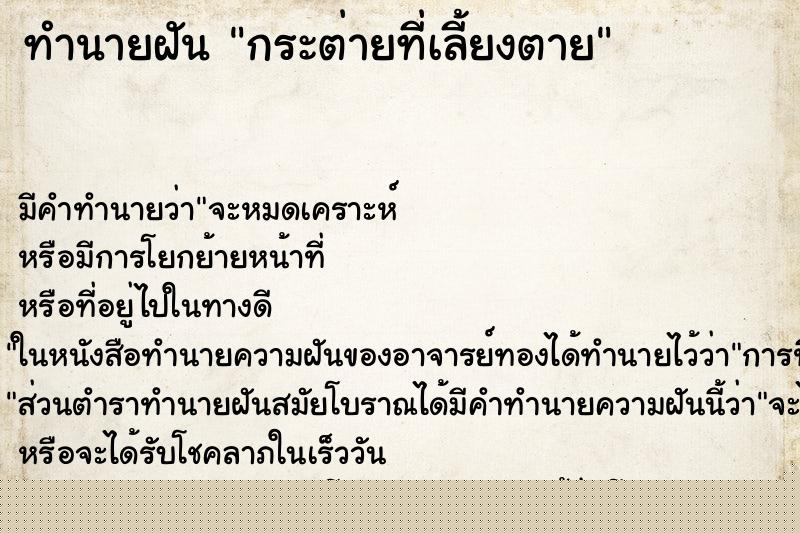 ทำนายฝันกระต่ายที่เลี้ยงตาย ทำนายฝันทำนายฝันกระต่ายที่เลี้ยงตาย