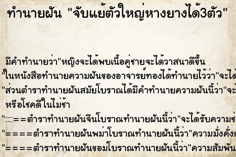 ทำนายฝัน จับแย้ตัวใหญ่หางยางได้3ตัว ทำนายฝัน จับแย้ตัวใหญ่หางยางได้3ตัว