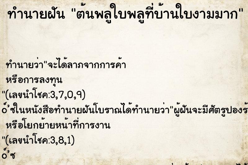 ทำนายฝัน ต้นพลูใบพลูที่บ้านใบงามมาก