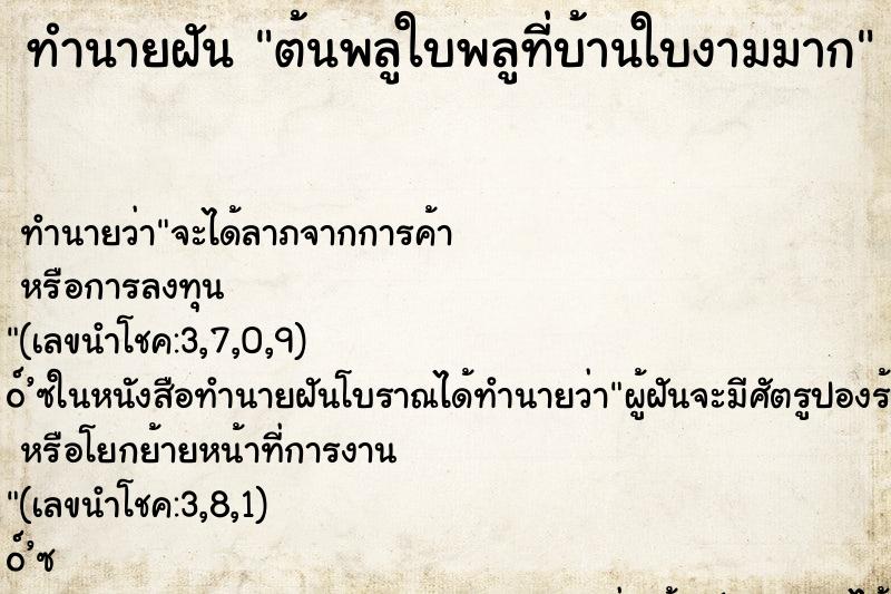 ทำนายฝัน ต้นพลูใบพลูที่บ้านใบงามมาก ตำราโบราณ แม่นที่สุดในโลก