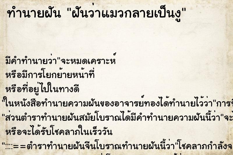 ทำนายฝัน ฝันว่าแมวกลายเป็นงู ทำนายฝัน ฝันว่าแมวกลายเป็นงู