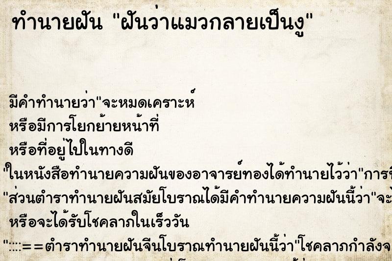 ทำนายฝัน ฝันว่าแมวกลายเป็นงู ตำราโบราณ แม่นที่สุดในโลก