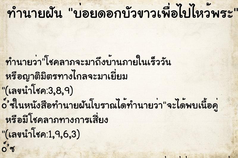 ทำนายฝันบ่อยดอกบัวขาวเพื่อไปไหว้พระ ทำนายฝันทำนายฝันบ่อยดอกบัวขาวเพื่อไปไหว้พระ