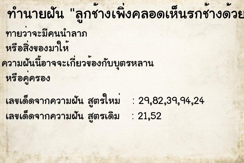 ทำนายฝัน ลูกช้างเพิ่งคลอดเห็นรกช้างด้วย ทำนายฝัน ลูกช้างเพิ่งคลอดเห็นรกช้างด้วย
