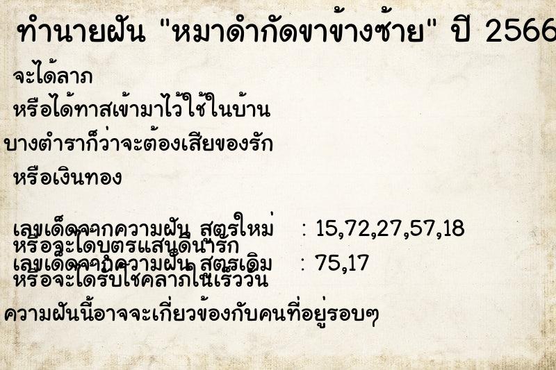 ทำนายฝันหมาดำกัดขาข้างซ้าย ทำนายฝันทำนายฝันหมาดำกัดขาข้างซ้าย