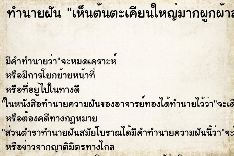 ทำนายฝัน เห็นต้นตะเคียนใหญ่มากผูกผ้าสามสี ทำนายฝัน เห็นต้นตะเคียนใหญ่มากผูกผ้าสามสี