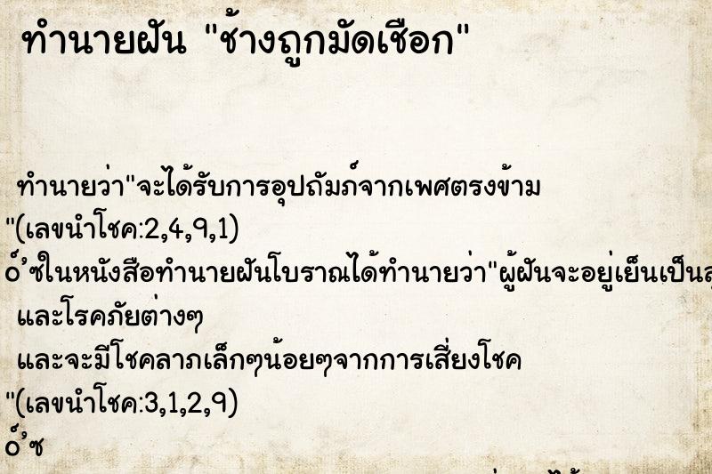 ทำนายฝัน ช้างถูกมัดเชือก ตำราโบราณ แม่นที่สุดในโลก