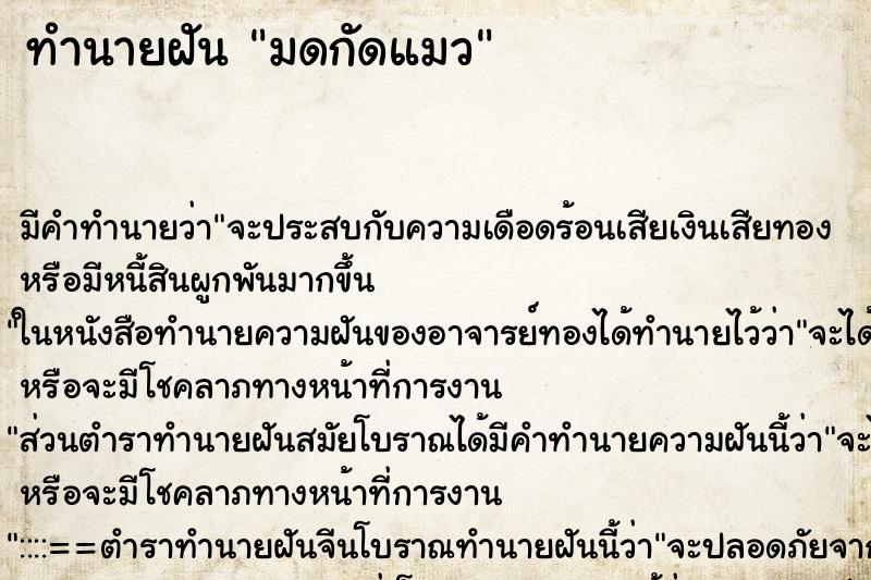 ทำนายฝัน มดกัดแมว ทำนายฝัน มดกัดแมว