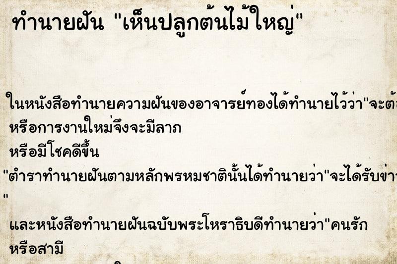 ทำนายฝัน เห็นปลูกต้นไม้ใหญ่ ทำนายฝัน เห็นปลูกต้นไม้ใหญ่