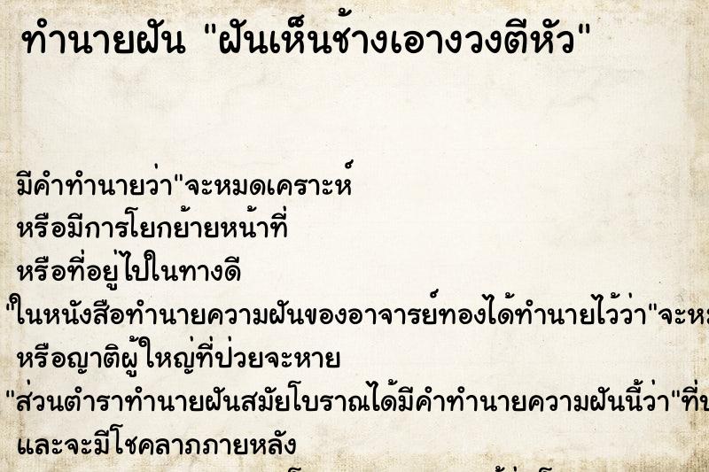 ทำนายฝัน ฝันเห็นช้างเอางวงตีหัว ทำนายฝัน ฝันเห็นช้างเอางวงตีหัว