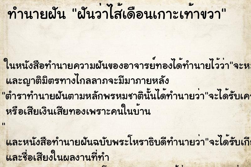 ทำนายฝันฝันว่าไส้เดือนเกาะเท้าขวา ทำนายฝันทำนายฝันฝันว่าไส้เดือนเกาะเท้าขวา