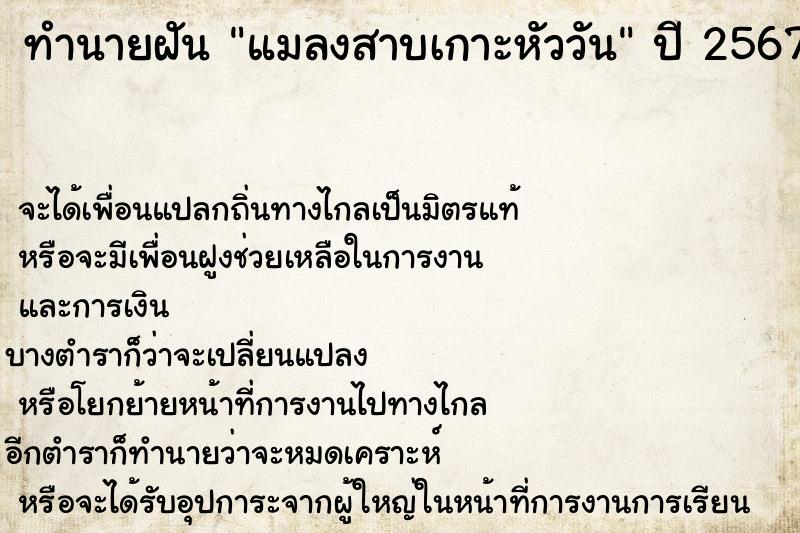 ทำนายฝันแมลงสาบเกาะหัววัน ทำนายฝันทำนายฝันแมลงสาบเกาะหัววัน