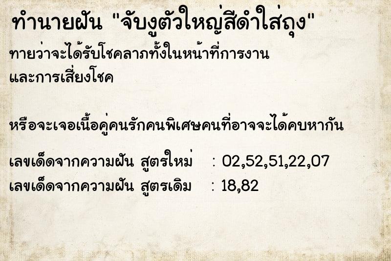 ทำนายฝันจับงูตัวใหญ่สีดำใส่ถุง ทำนายฝันทำนายฝันจับงูตัวใหญ่สีดำใส่ถุง