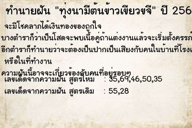 ทำนายฝัน ทุ่งนามีต้นข้าวเขียวขจี ทำนายฝัน ทุ่งนามีต้นข้าวเขียวขจี