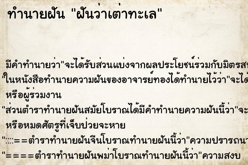 ทำนายฝันฝันว่าเต่าทะเล ทำนายฝันทำนายฝันฝันว่าเต่าทะเล