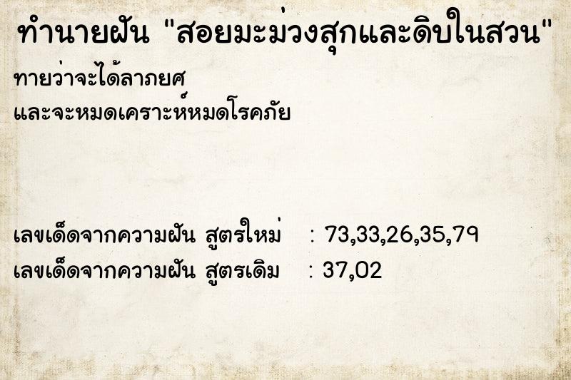 ทำนายฝันสอยมะม่วงสุกและดิบในสวน ทำนายฝันทำนายฝันสอยมะม่วงสุกและดิบในสวน