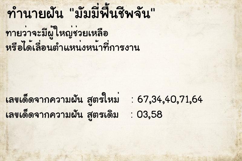 ทำนายฝัน มัมมี่ฟื้นชีพจัน ทำนายฝัน มัมมี่ฟื้นชีพจัน