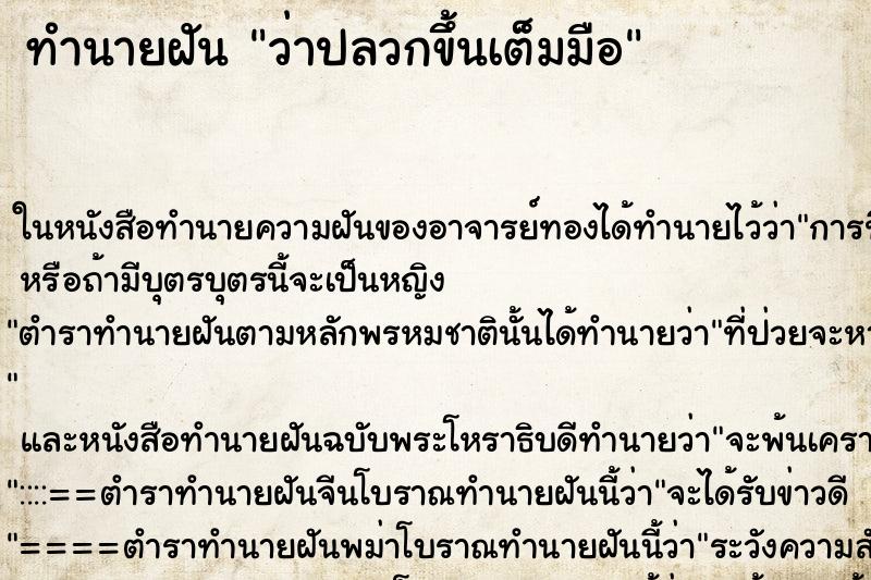 ทำนายฝัน ว่าปลวกขึ้นเต็มมือ