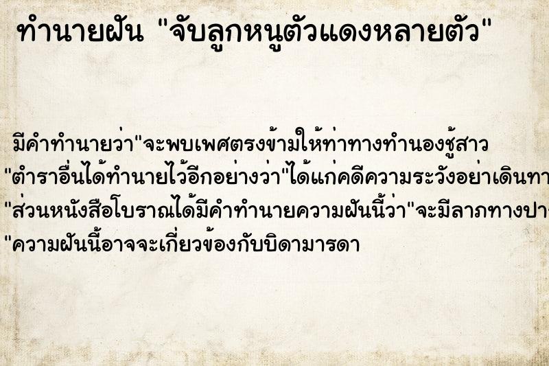 ทำนายฝันทำนายฝันจับลูกหนูตัวแดงหลายตัว