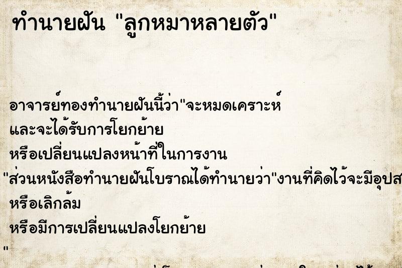 ทำนายฝัน ลูกหมาหลายตัว ทำนายฝัน ลูกหมาหลายตัว