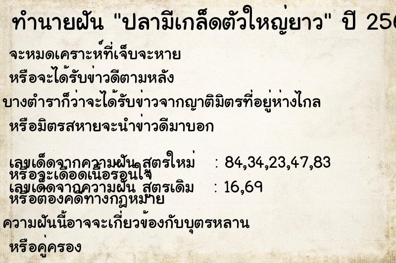 ทำนายฝันทำนายฝันปลามีเกล็ดตัวใหญ่ยาว